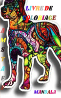 Livre de coloriage Amstaff Mandala