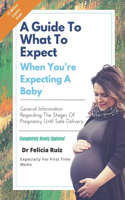 Guide to What to Expect When You're Expecting a Baby