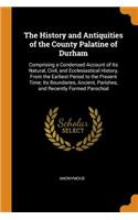 The History and Antiquities of the County Palatine of Durham: Comprising a Condensed Account of Its Natural, Civil, and Ecclesiastical History, from the Earliest Period to the Present Time; Its Boundaries, Ancient, Parishes, and Recently Formed Par