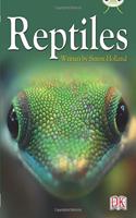 BC NF Red (KS2) B/5B Reptiles