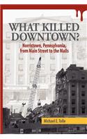 What Killed Downtown?