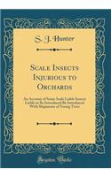 Scale Insects Injurious to Orchards: An Account of Some Scale Liable Insects Liable to Be Introduced Be Introduced with Shipments of Young Trees (Classic Reprint): An Account of Some Scale Liable Insects Liable to Be Introduced Be Introduced with Shipments of Young Trees (Classic Reprint)