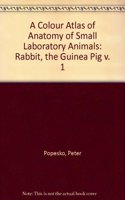 A Colour Atlas of the Anatomy of Small Laboratory Animals, Volume I: 001