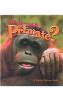 What Is a Primate?