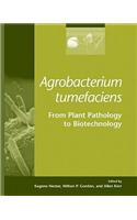 Agrobacterium Tumefaciens