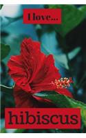 I Love Hibiscus: Lined Notebook / Journal. Ideal gift for the hibiscus lover.