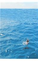 Journal Kauai Dolphins 150 Lined Sheets Turquoise