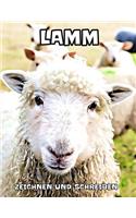 Lamm