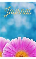 Journal