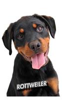 Rottweiler: Puppy - 2020 Weekly Calendar - 12 Months - 107 pages 6 x 9 in. - Planner - Diary - Organizer - Agenda - Appointment - Half Spread Blank Pages