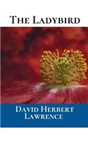 The LadyBird: A First Unabridged Edition (Annotated) By David Herbert Lawrence.