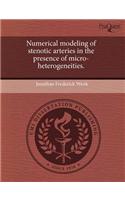 Numerical Modeling of Stenotic Arteries in the Presence of Micro-Heterogeneities.