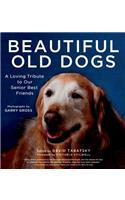 Beautiful old dogs