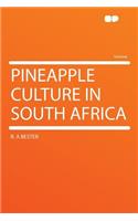 Pineapple Culture in South Africa
