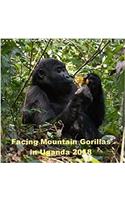 Facing Mountain Gorillas in Uganda 2018