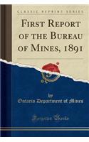 First Report of the Bureau of Mines, 1891 (Classic Reprint)