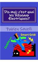 Dis-moi, c'est quoi les Reseaux Electriques?