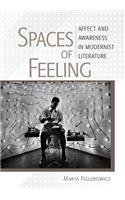 Spaces of Feeling