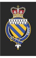 Hawk: Hawk Coat of Arms and Family Crest Notebook Journal (6 x 9 - 100 pages)