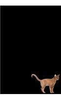 Abyssinian Cat Journal: Blank Lined Pet Kitty Notebook For Girls