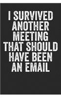 I Survived Another Meeting That Should Have Been An Email