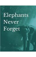 Elephants Never Forget