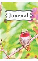 Pink Flowers & Green Ruby throated Hummingbird Diary, Pretty Bird Journal for Daily Thoughts: Gratitude Gift Notebook for Inspiration & Brainstorming Blank Lined Paper Book for Women & Girls