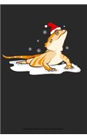 Bearded Dragon in Santa Hat