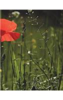 Poppy Notebook Large Size 8.5 x 11 Ruled 150 pages Softcover