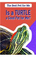 Is a Turtle a Good Pet for Me?