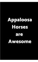 Appaloosa Horses Are Awesome