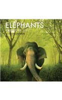 Elephants Calendar 2019: 16 Month Calendar