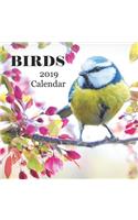 Birds 2019 Calendar