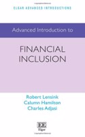 Advanced Introduction to Financial Inclusion