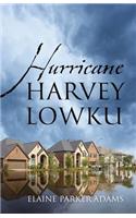 Hurricane Harvey Lowku