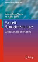 Magnetic Nanoheterostructures