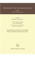 Lokale Bestimmung gasförmiger Schadstoffe mittels einer Impuls-Laser-Streulicht-Sonde