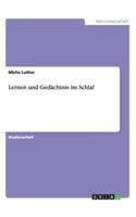 Lernen und Gedächtnis im Schlaf