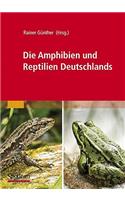 Die Amphibien und Reptilien Deutschlands