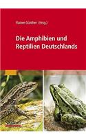 Die Amphibien Und Reptilien Deutschlands