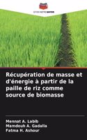 Récupération de masse et d'énergie à partir de la paille de riz comme source de biomasse
