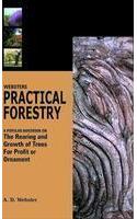 Webster Practical Forest