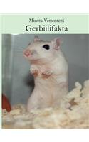 Gerbiilifakta