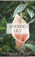 Voodoo Lily