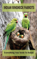 Indian Ringneck Parrots