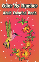 Color by Number Adult Coloring Book