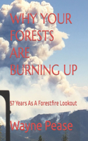 Why Your Forests Are Burning Up