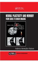 Neural Plasticity and Memory: From Genes to Brain Imaging
