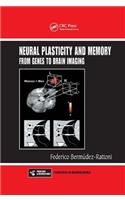 Neural Plasticity and Memory