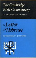 A Letter to Hebrews